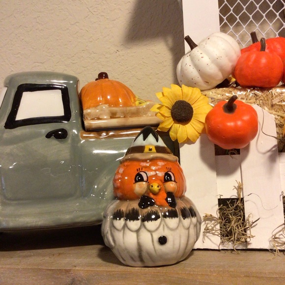 Johanna Parker turkey and owl Salt & Pepper Shakers 🍁 - Picture 7 of 16